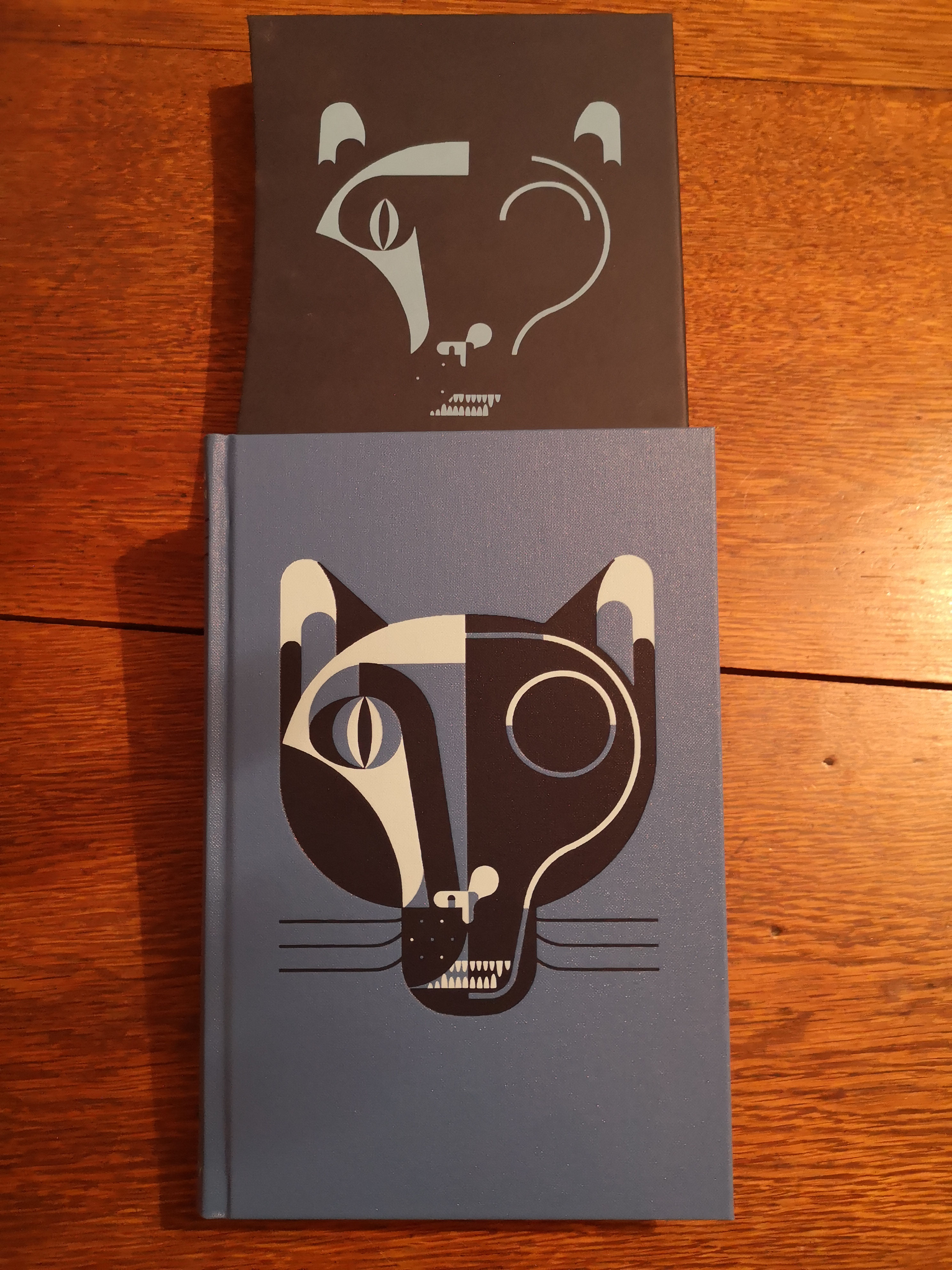 In Search of Schrodinger's Cat by John Gribbins