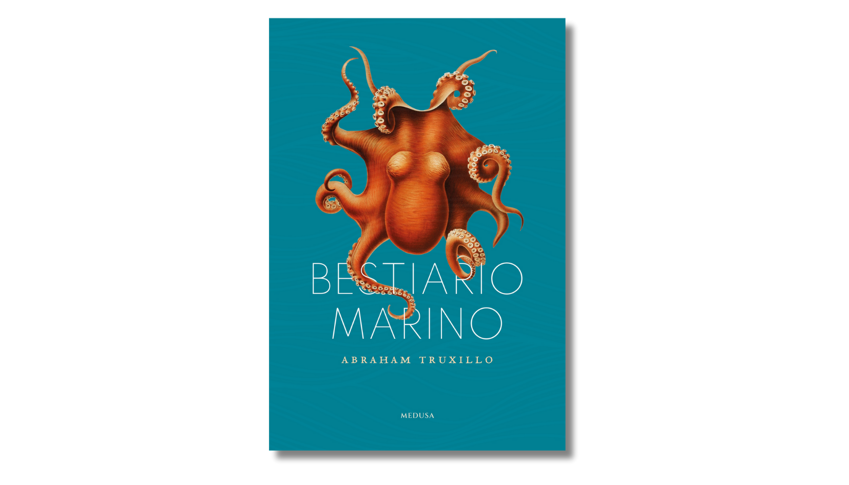Bestiario marino