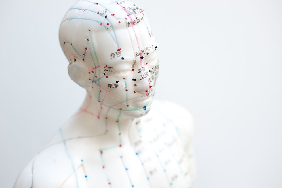 Acupuncture Meridian Lines