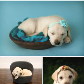 Ella Rey | Frisco Newborn PET Session