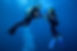 StudipBlue2.jpeg