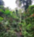 received_1291175698414015.jpeg