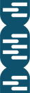 256.S2 - DNA [Converted].png