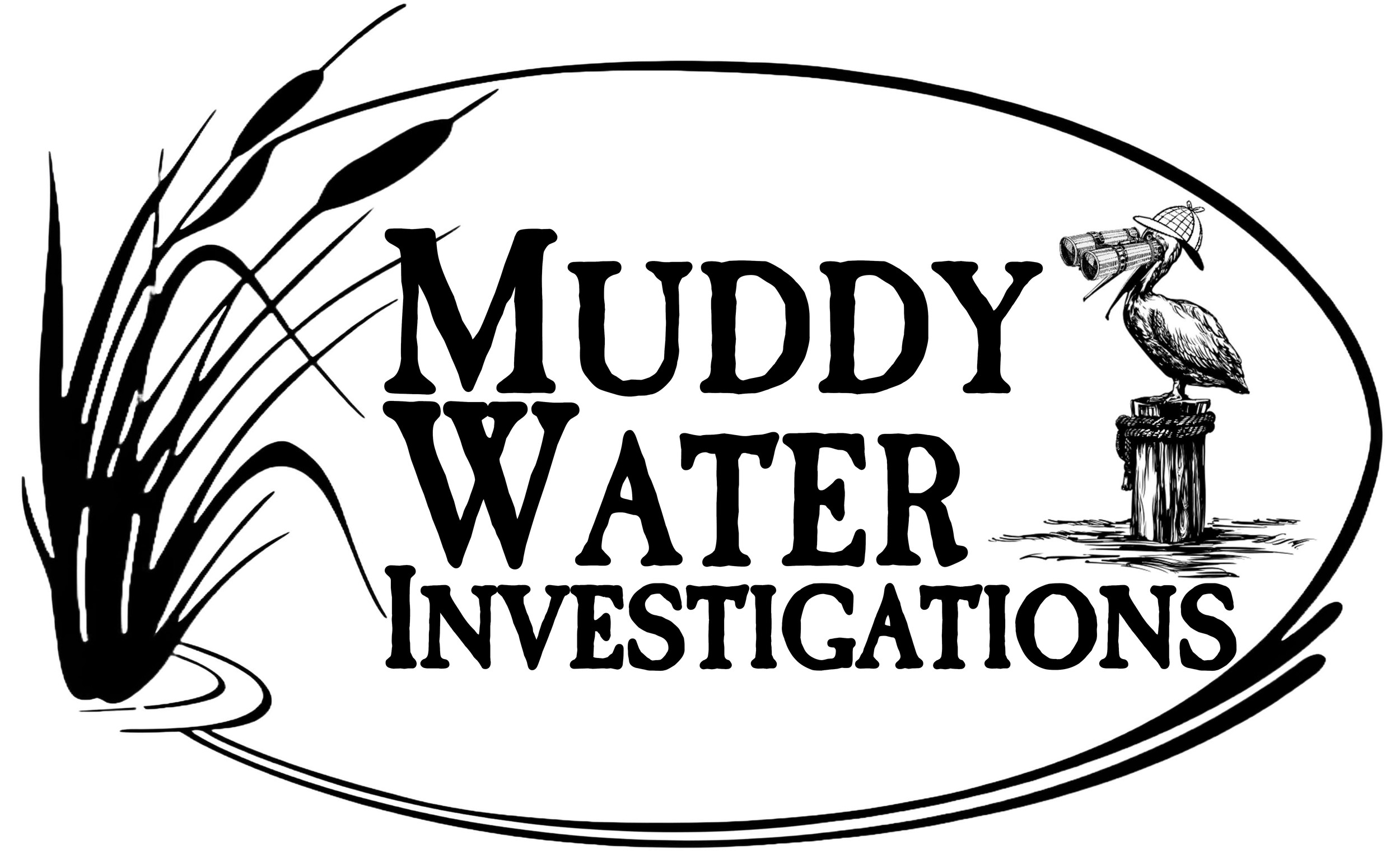 Home | Muddy Water Investigations