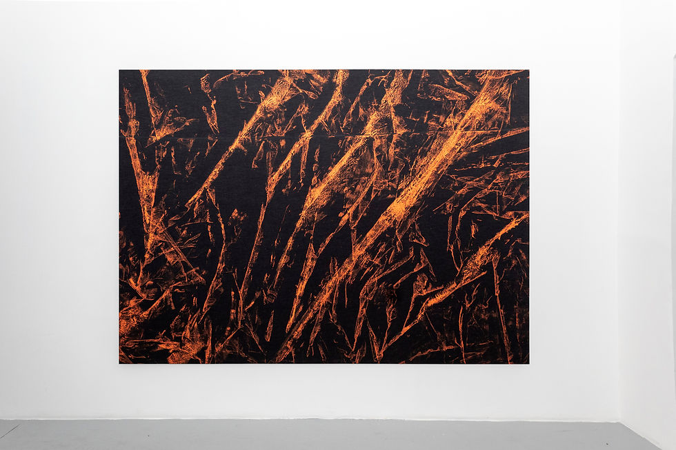 ‘Not Dark Yet’: Ignacio Noguerol