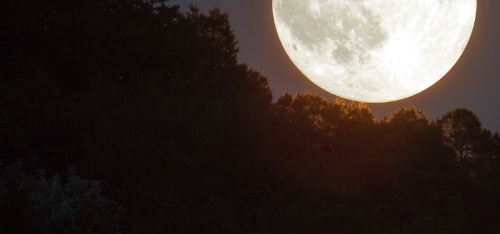 ANOCHE AL ACOSTARME.