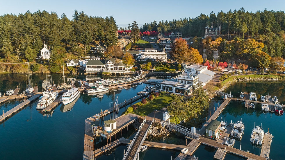 Aerial view of Roche Harbor