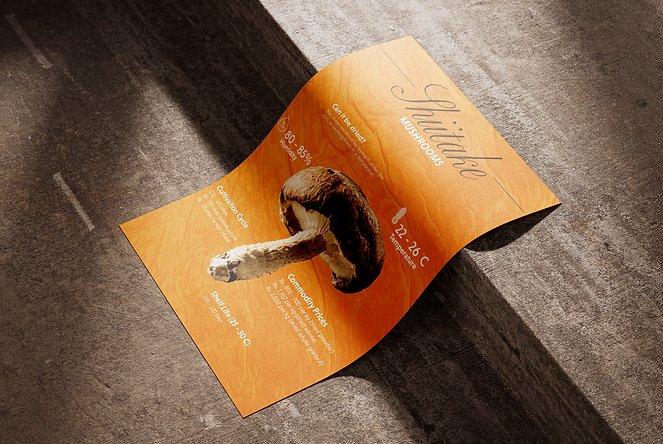 Poster_Mockup_3.png