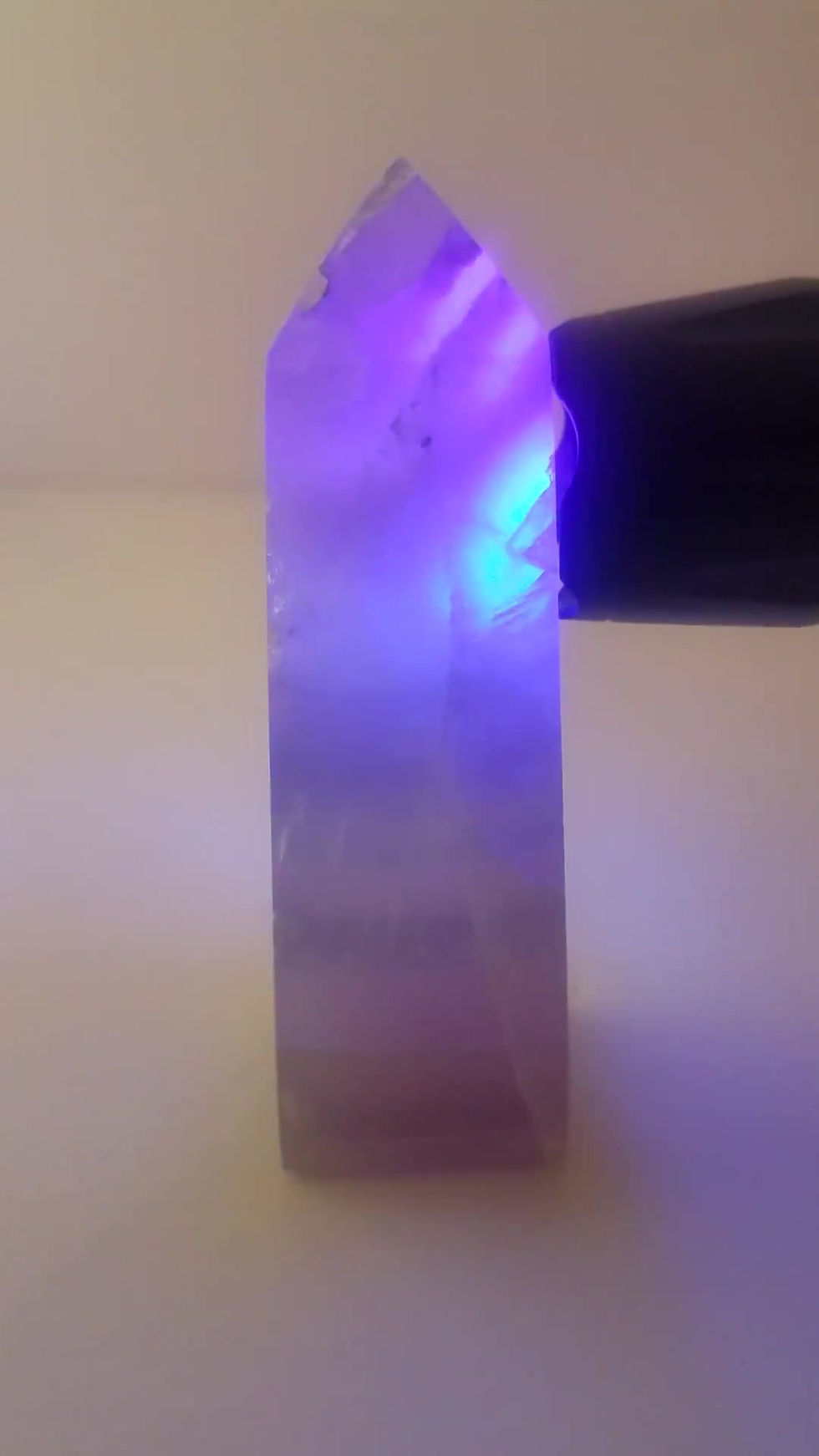 Thumbnail: Lavender rainbow w/ garden FL2