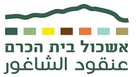 הורדה.png