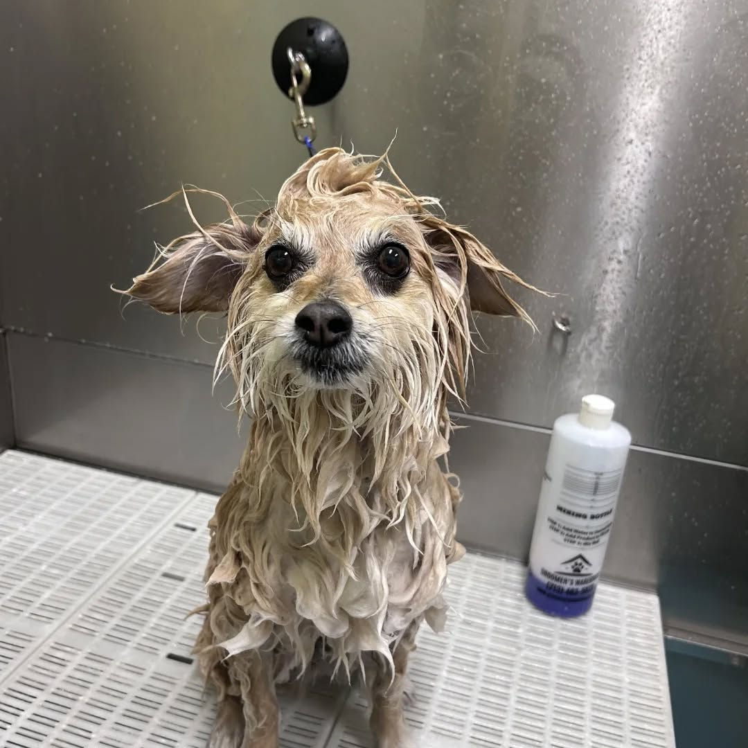 Baths