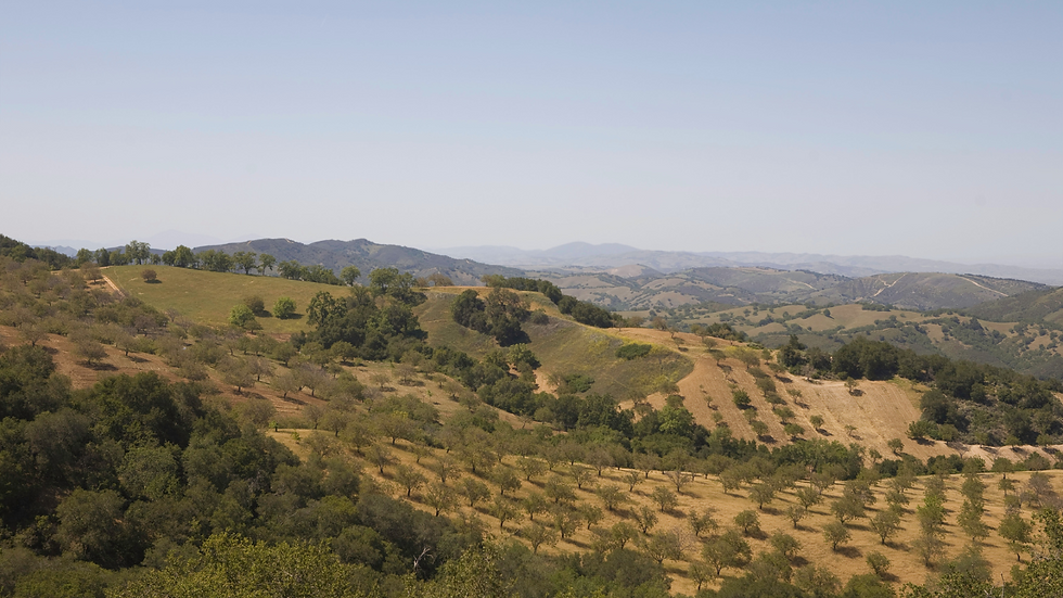 Paso Robles Wine Education
