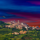 White Wines of Tuscany, Italy
