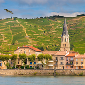 5 Questions about the Rhône Valley