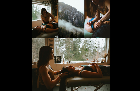 pysiobiophotomulti (1) (1).png