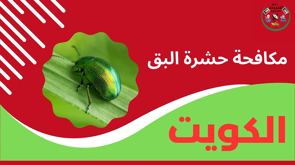 best-pest-control-kuwait