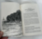 Thumbnail: Amplify Your Leadership