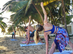 Alternavida Leadership Retreats