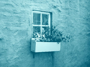 pot on window with flowers_edited.jpg