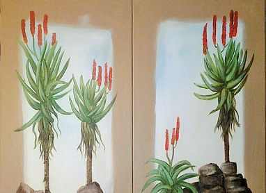 aloe ferox pair.jpg