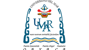 Universidad del Mar busca profesor