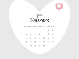 Boletín Datos Febrero 2025