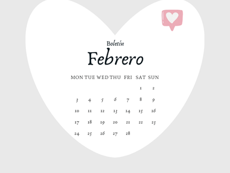 Boletín Datos Febrero 2025