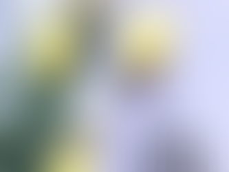 Boletín Datos Abril 2007