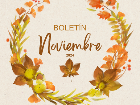 Boletín Datos Noviembre 2024