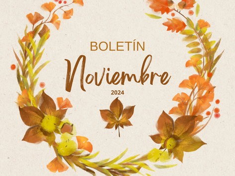 Boletín Datos Noviembre 2024