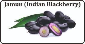 jamun indian blackberry