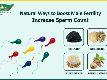 Natural Ways to Boost Male Fertility: Increase Sperm Count