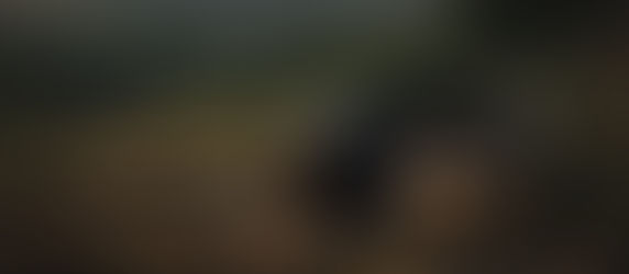 The Importance of Beats in Narrative Flow