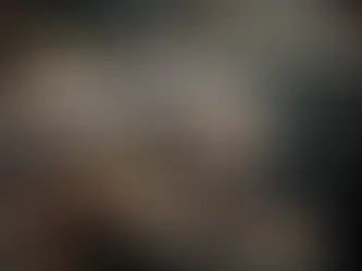 Writing exercise: Description of a Significant Object.