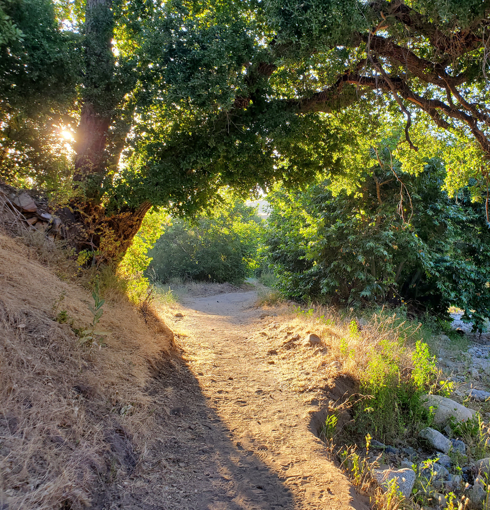 Placerita Canyon in Santa Clarita, CA
