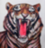 虎
