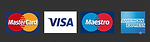 payment logos colour match footer.png