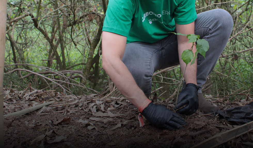 Orion_Engenharia_Carbono_Zero_InfraFM_ABRAFAC_Prancheta 1 cópia 2.jpg