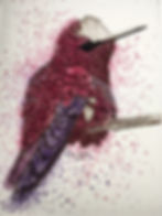 Cranberry Hummingbird