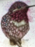 Cranberry / Pink Hummingbird 8"x10"
