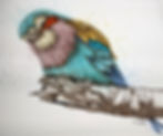 Lilac Breasted Roller 15.25"x18.5" $450.00