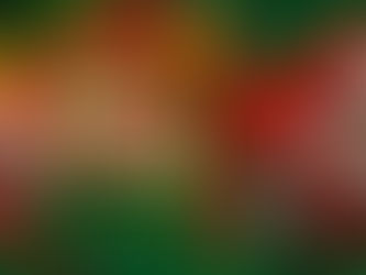 SAMBA DE NATAL ACONTECE NESSE SÁBADO NA QUADRA DO SALGUEIRO