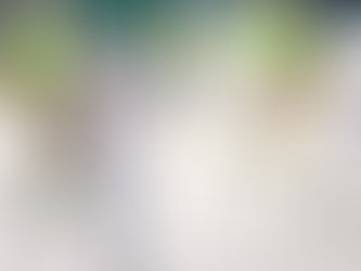 Registramos algumas imagens do ensaio técnico do dia (21)