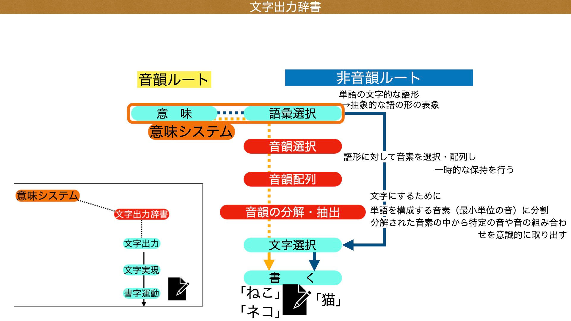 ✍️【書字のつまずきが一気に理解できる！】ロゴジェンモデル《書く（書称・書取）編》