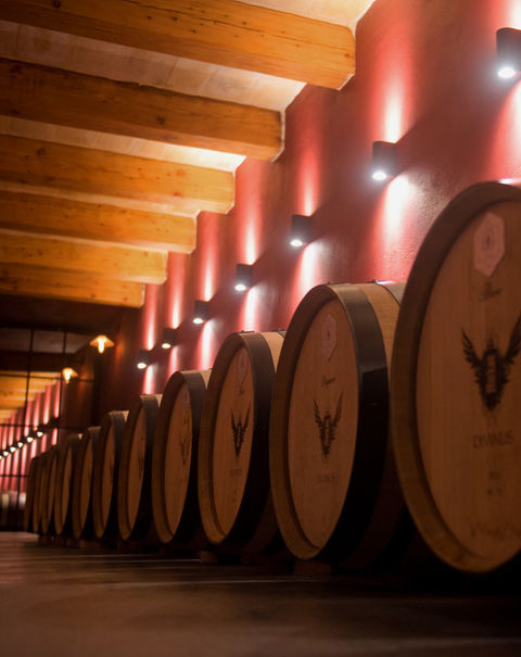 Barrel Room