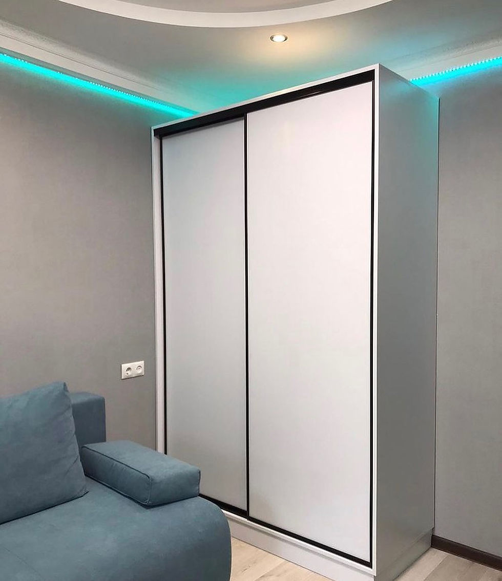 шкаф купе +по индивидуальному заказу москва