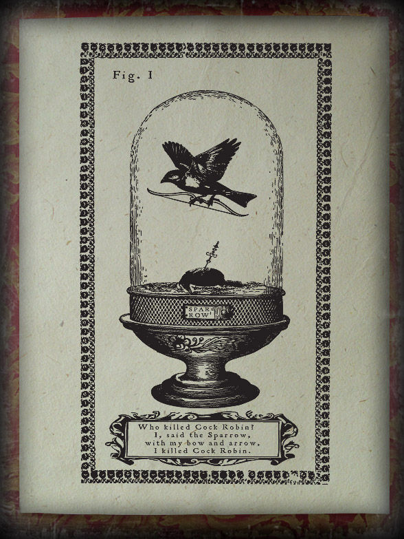 Thumbnail: Who killed Cock Robin. 1744