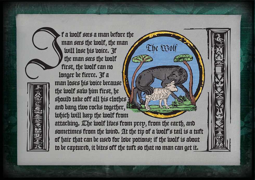 Thumbnail: Medieval Bestiary: Peacock to Wolf