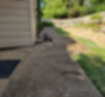 Cale Ebert Sidewalk - Repaired.jpeg