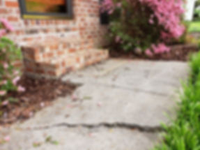 Settled Steps & Sidewalk Crack.jpeg